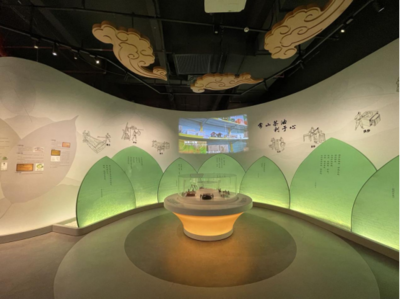 &ldquo;兩柚一茶&rdquo;深加工,常山大力培育共同富裕的特色優(yōu)勢(shì)產(chǎn)業(yè)