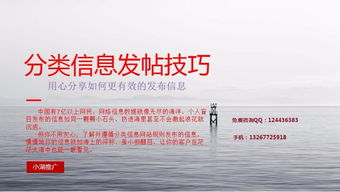 深圳撲來貓小湖科技推廣軟件 功能、試用與價格全面解析